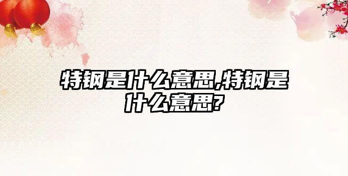 特鋼是什么意思,特鋼是什么意思?