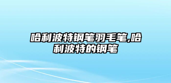 哈利波特鋼筆羽毛筆,哈利波特的鋼筆