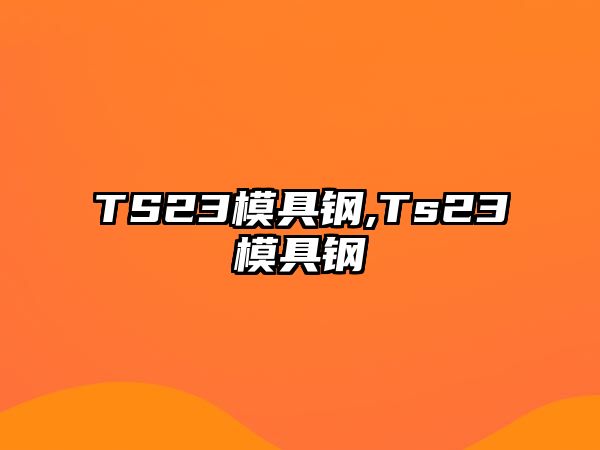 TS23模具鋼,Ts23模具鋼