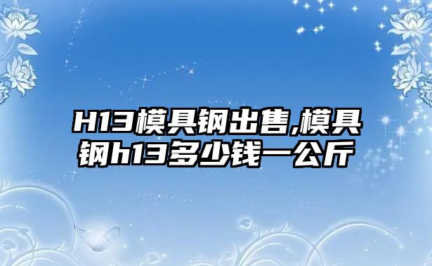 H13模具鋼出售,模具鋼h13多少錢一公斤