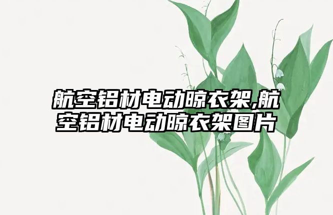 航空鋁材電動晾衣架,航空鋁材電動晾衣架圖片