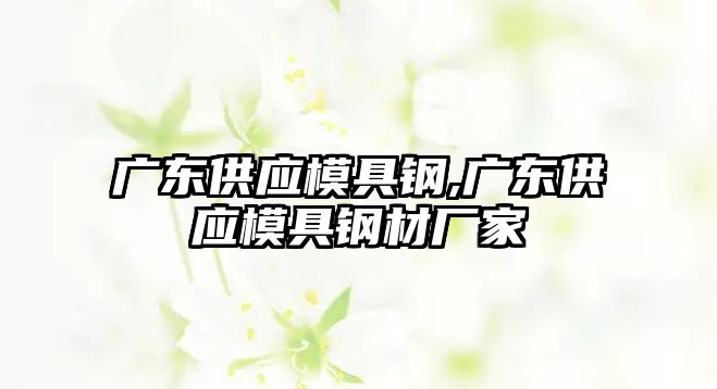 廣東供應(yīng)模具鋼,廣東供應(yīng)模具鋼材廠家