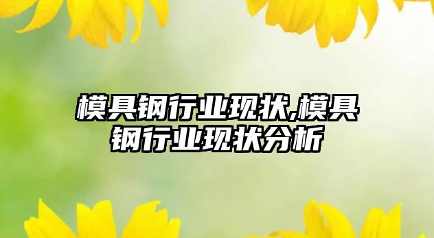 模具鋼行業(yè)現(xiàn)狀,模具鋼行業(yè)現(xiàn)狀分析