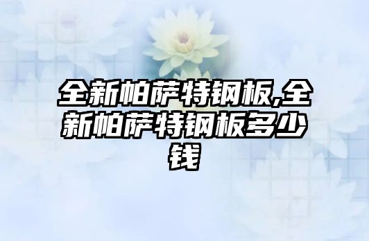 全新帕薩特鋼板,全新帕薩特鋼板多少錢(qián)