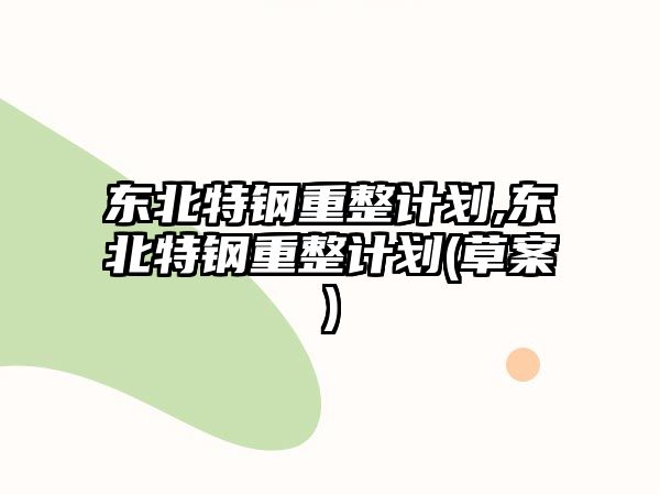 東北特鋼重整計劃,東北特鋼重整計劃(草案)