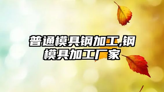 普通模具鋼加工,鋼模具加工廠家