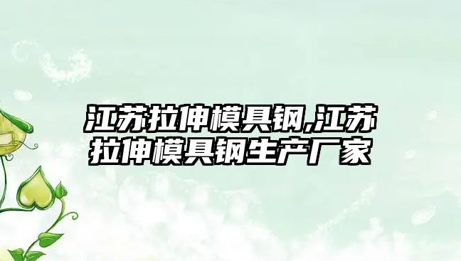 江蘇拉伸模具鋼,江蘇拉伸模具鋼生產(chǎn)廠家