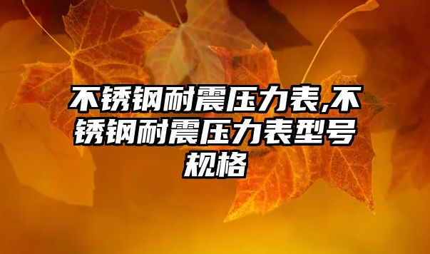 不銹鋼耐震壓力表,不銹鋼耐震壓力表型號(hào)規(guī)格