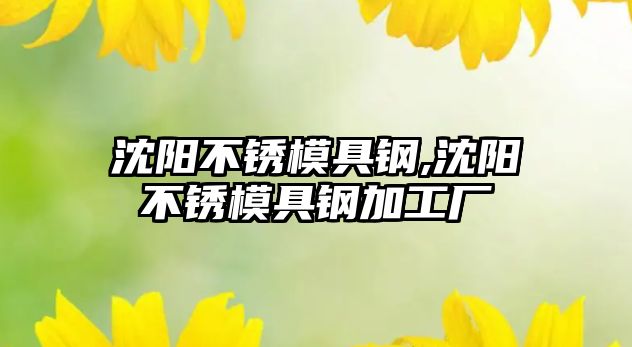 沈陽不銹模具鋼,沈陽不銹模具鋼加工廠