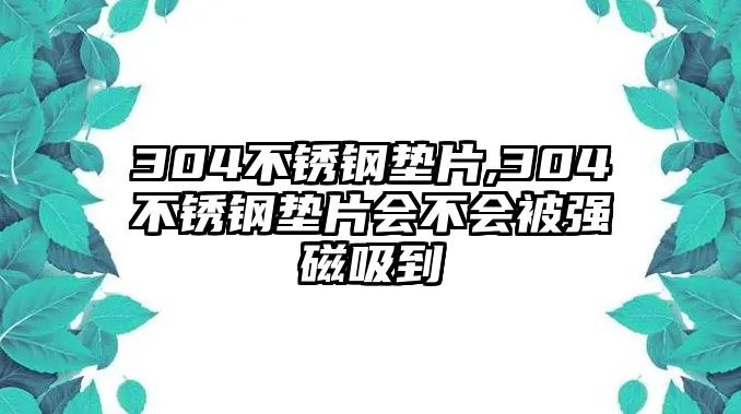 304不銹鋼墊片,304不銹鋼墊片會(huì)不會(huì)被強(qiáng)磁吸到