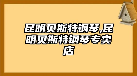 昆明貝斯特鋼琴,昆明貝斯特鋼琴專賣店