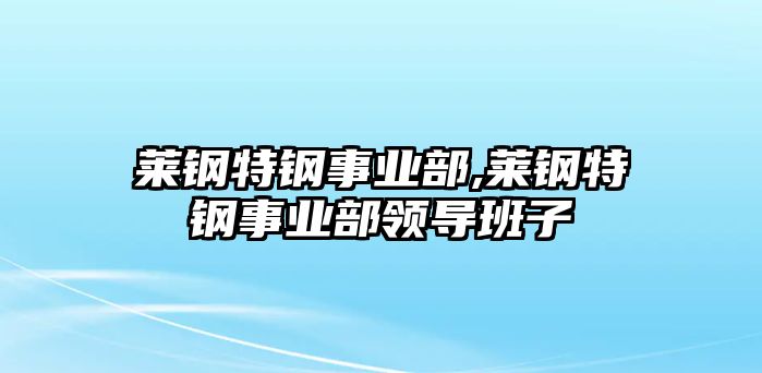 萊鋼特鋼事業(yè)部,萊鋼特鋼事業(yè)部領導班子