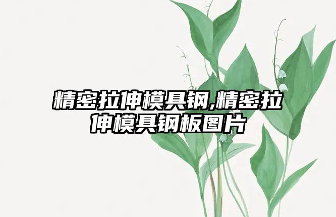 精密拉伸模具鋼,精密拉伸模具鋼板圖片