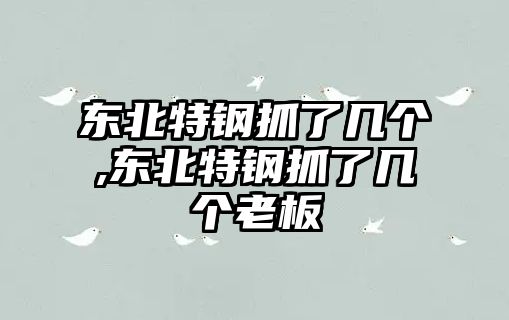 東北特鋼抓了幾個,東北特鋼抓了幾個老板