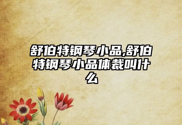 舒伯特鋼琴小品,舒伯特鋼琴小品體裁叫什么