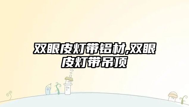 雙眼皮燈帶鋁材,雙眼皮燈帶吊頂