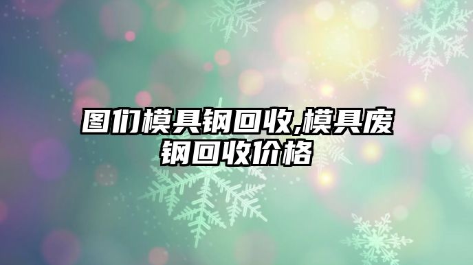 圖們模具鋼回收,模具廢鋼回收價(jià)格