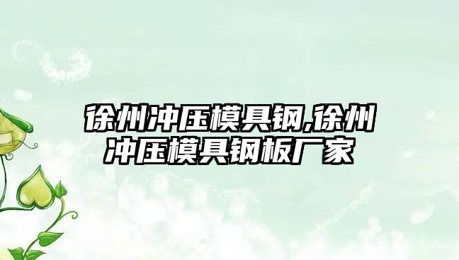 徐州沖壓模具鋼,徐州沖壓模具鋼板廠(chǎng)家