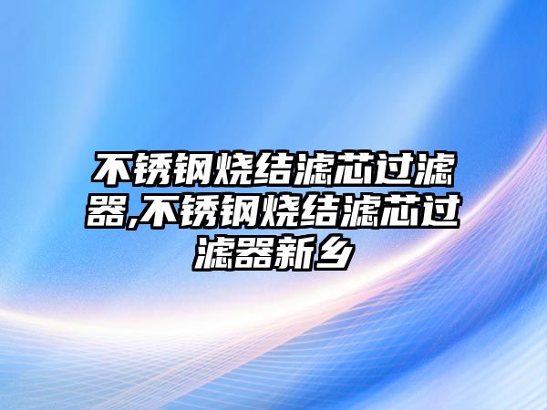 不銹鋼燒結濾芯過濾器,不銹鋼燒結濾芯過濾器新鄉(xiāng)