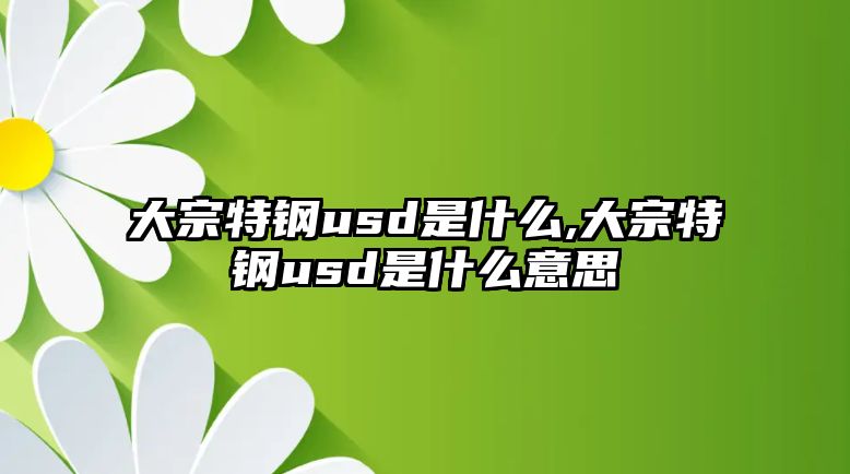 大宗特鋼usd是什么,大宗特鋼usd是什么意思