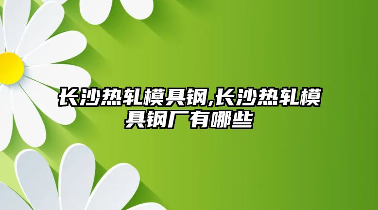 長沙熱軋模具鋼,長沙熱軋模具鋼廠有哪些