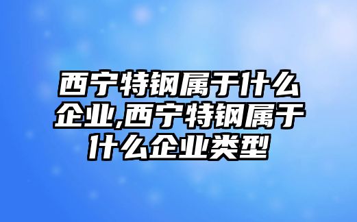 西寧特鋼屬于什么企業(yè),西寧特鋼屬于什么企業(yè)類(lèi)型