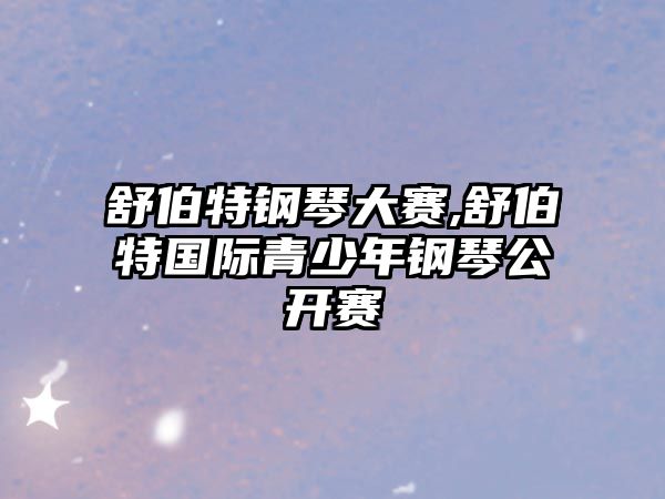 舒伯特鋼琴大賽,舒伯特國際青少年鋼琴公開賽