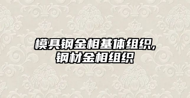 模具鋼金相基體組織,鋼材金相組織