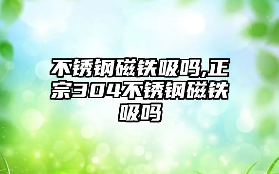 不銹鋼磁鐵吸嗎,正宗304不銹鋼磁鐵吸嗎