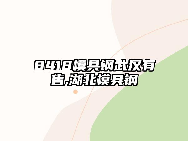 8418模具鋼武漢有售,湖北模具鋼