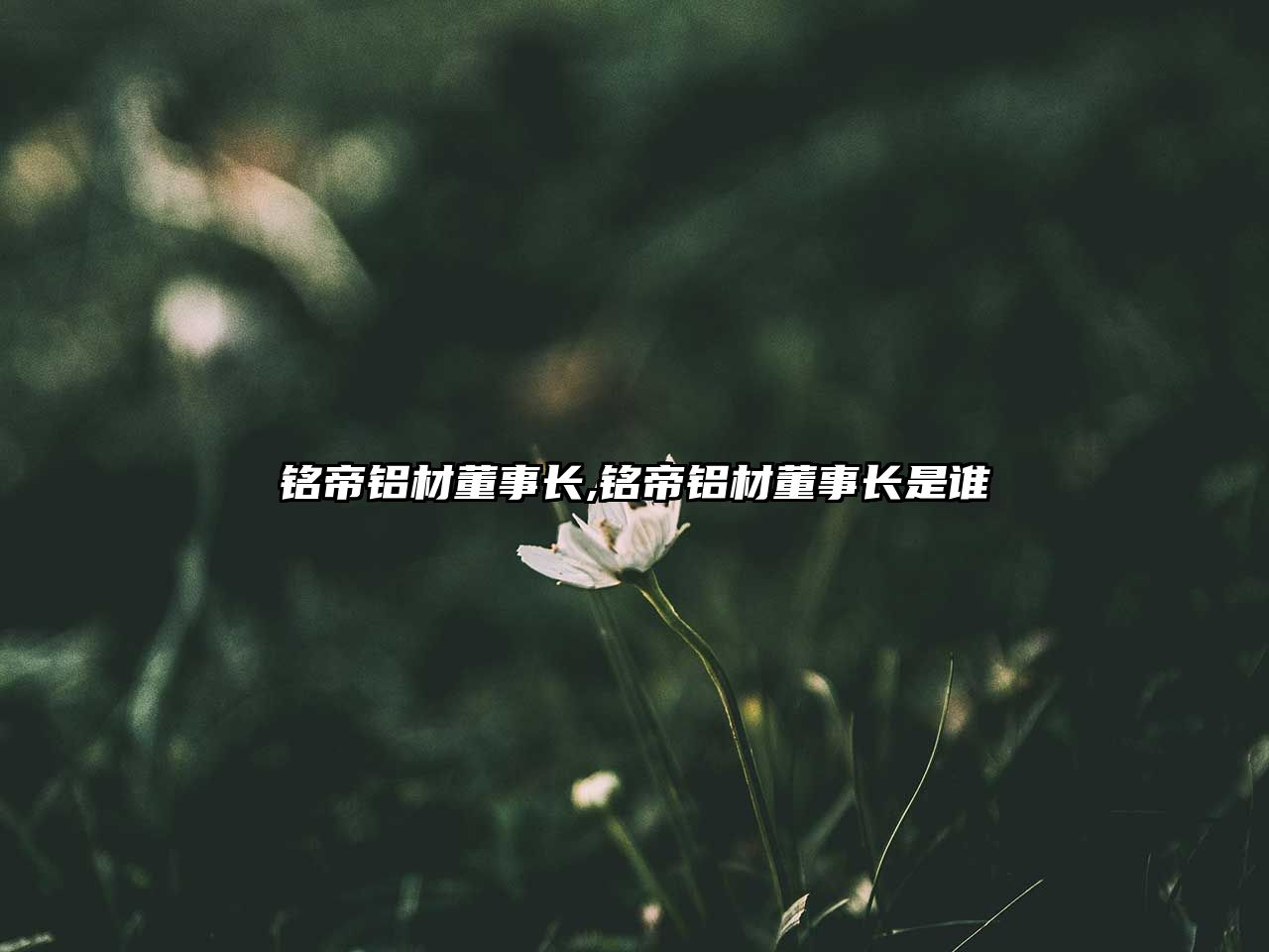 銘帝鋁材董事長(zhǎng),銘帝鋁材董事長(zhǎng)是誰(shuí)