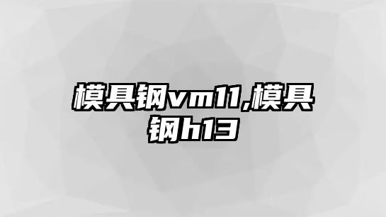 模具鋼vm11,模具鋼h13