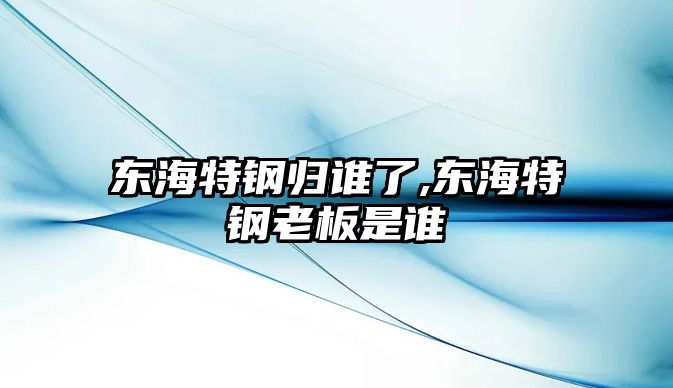 東海特鋼歸誰了,東海特鋼老板是誰