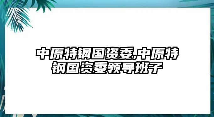 中原特鋼國資委,中原特鋼國資委領(lǐng)導(dǎo)班子