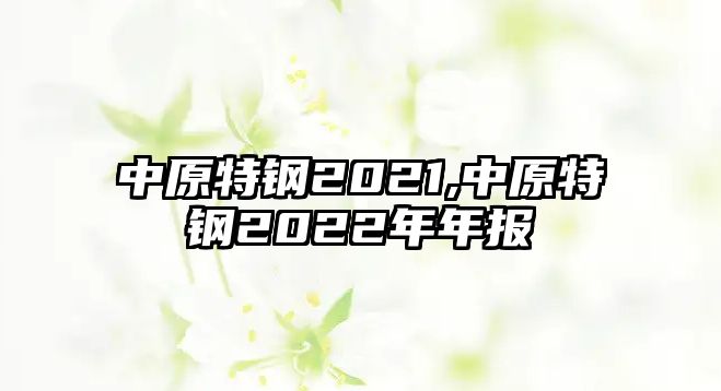 中原特鋼2021,中原特鋼2022年年報(bào)