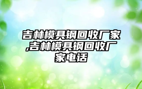 吉林模具鋼回收廠家,吉林模具鋼回收廠家電話