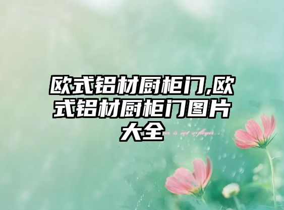 歐式鋁材廚柜門,歐式鋁材廚柜門圖片大全