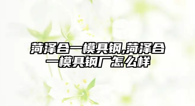 菏澤合一模具鋼,菏澤合一模具鋼廠怎么樣