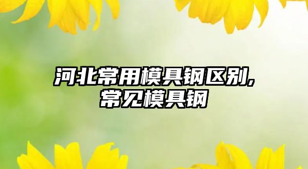 河北常用模具鋼區(qū)別,常見(jiàn)模具鋼