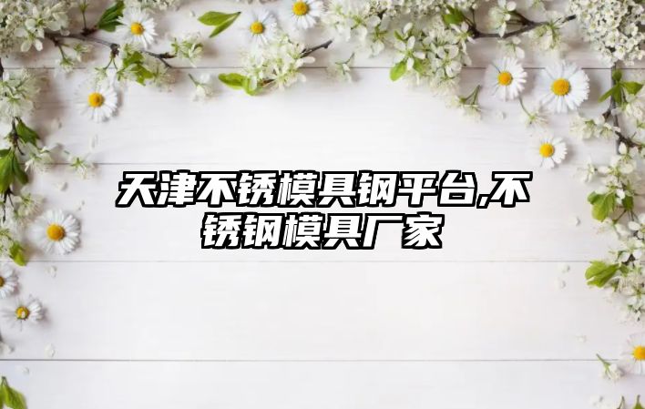 天津不銹模具鋼平臺(tái),不銹鋼模具廠家