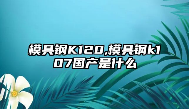 模具鋼K120,模具鋼k107國產(chǎn)是什么