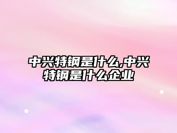 中興特鋼是什么,中興特鋼是什么企業(yè)