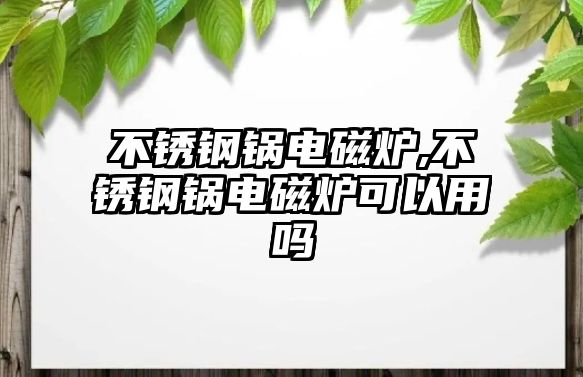 不銹鋼鍋電磁爐,不銹鋼鍋電磁爐可以用嗎