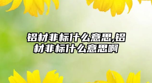 鋁材非標(biāo)什么意思,鋁材非標(biāo)什么意思啊