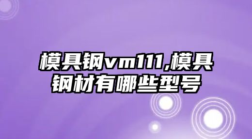 模具鋼vm111,模具鋼材有哪些型號