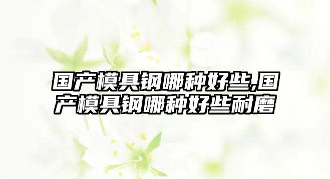 國產(chǎn)模具鋼哪種好些,國產(chǎn)模具鋼哪種好些耐磨