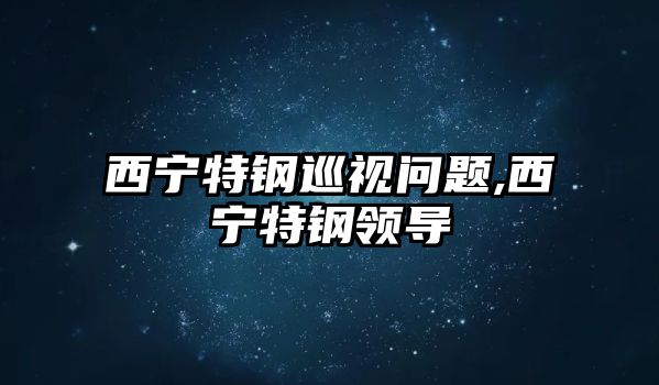 西寧特鋼巡視問題,西寧特鋼領(lǐng)導(dǎo)