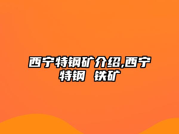 西寧特鋼礦介紹,西寧特鋼 鐵礦