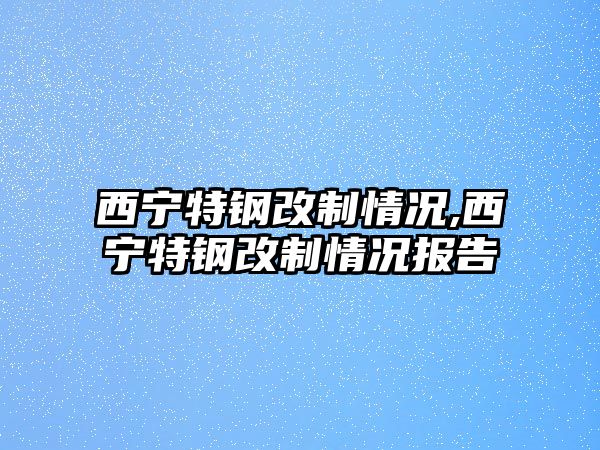 西寧特鋼改制情況,西寧特鋼改制情況報告