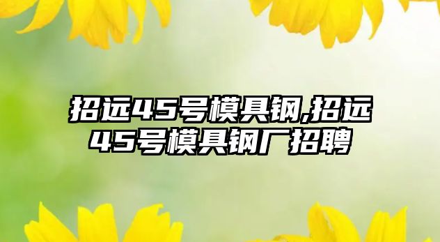 招遠(yuǎn)45號(hào)模具鋼,招遠(yuǎn)45號(hào)模具鋼廠招聘